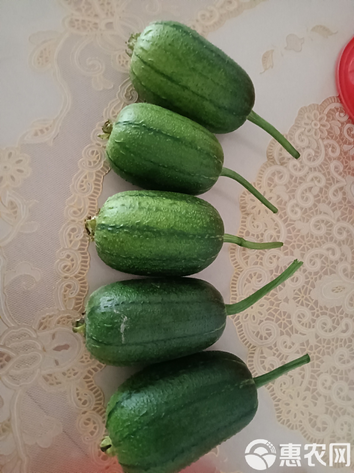 丝瓜苹果版免费下载(丝瓜app苹果下载免费下载丝瓜)-第2张图片-有道翻译官网 丝瓜苹果版免费下载(丝瓜app苹果下载免费下载丝瓜)-第2张图片-有道翻译官网