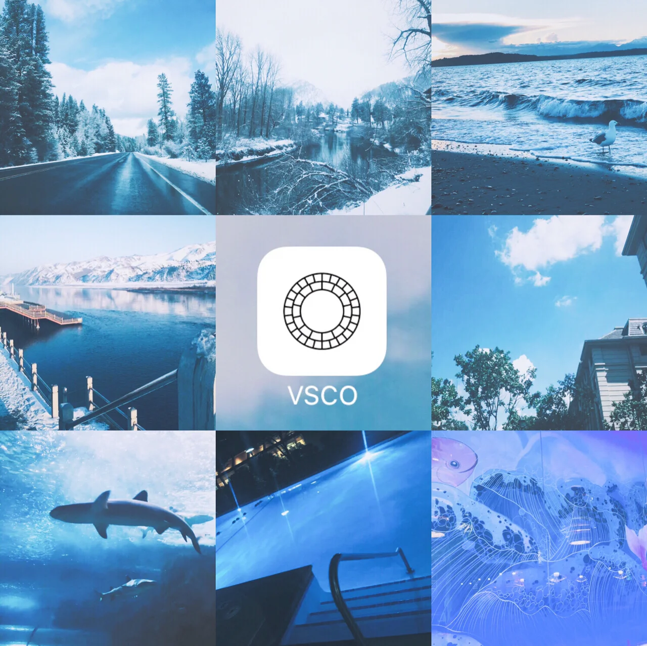 vsco电脑版苹果电脑版下载(苹果电脑下载visual studio code)