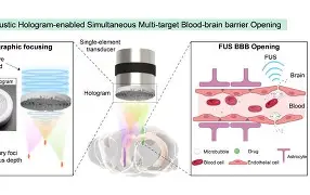 入阵曲破解版苹果版(永久免费破解单机游戏盒子)-第7张图片-有道翻译官网