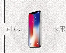 苹果x宽下巴版的简单介绍-第5张图片-有道翻译官网